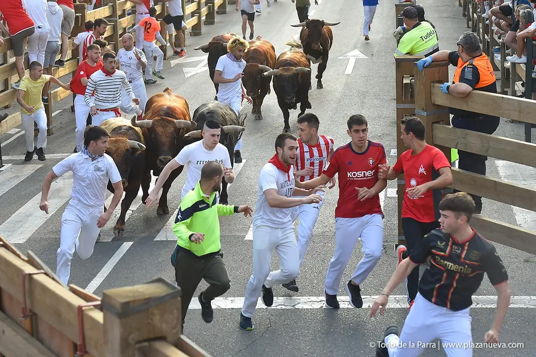 240726_FIESTAS1-(77)