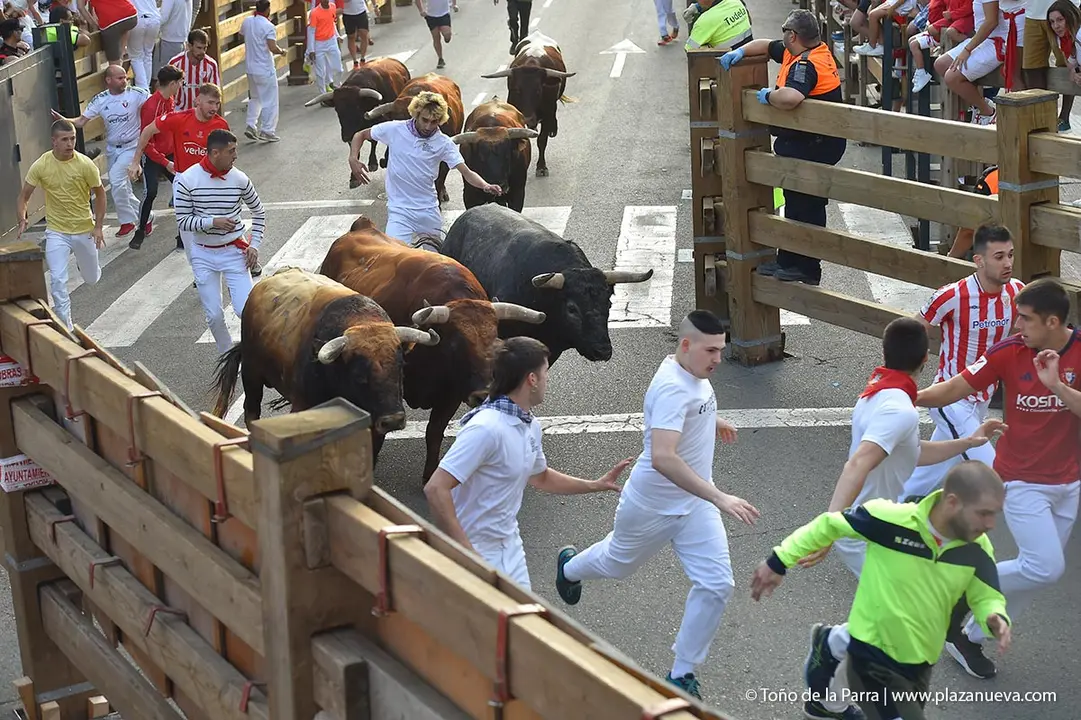 240726_FIESTAS1-(80)