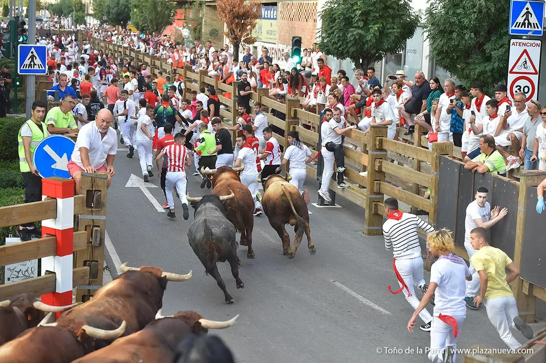 240726_FIESTAS1-(89)