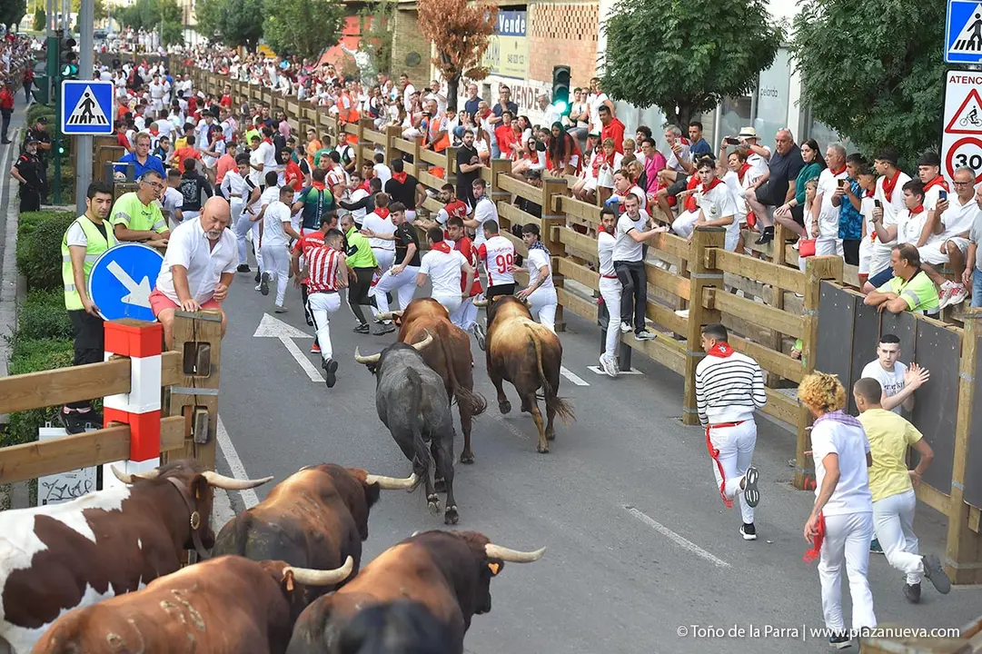 240726_FIESTAS1-(91)
