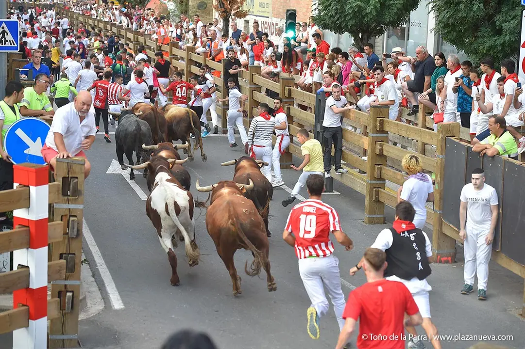 240726_FIESTAS1-(93)