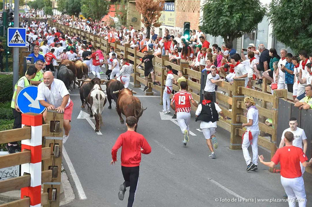 240726_FIESTAS1-(97)