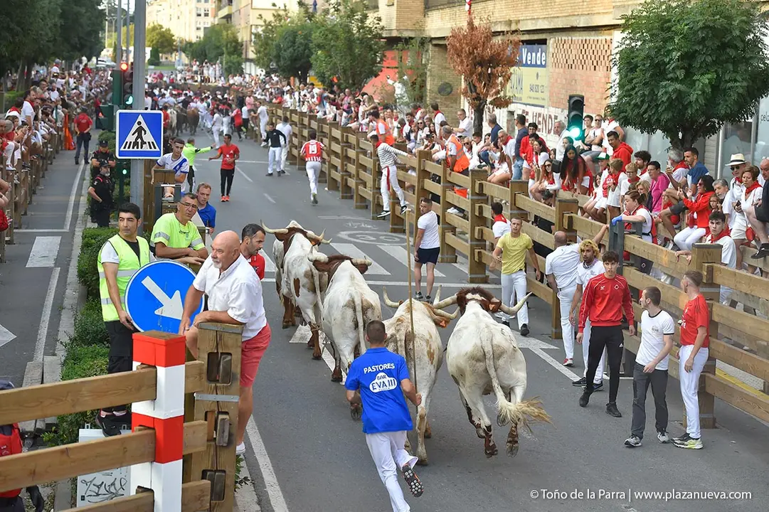 240726_FIESTAS1-(104)