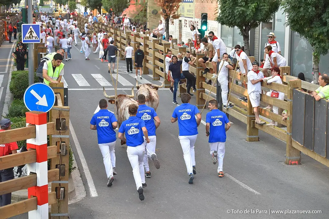 240726_FIESTAS1-(117)