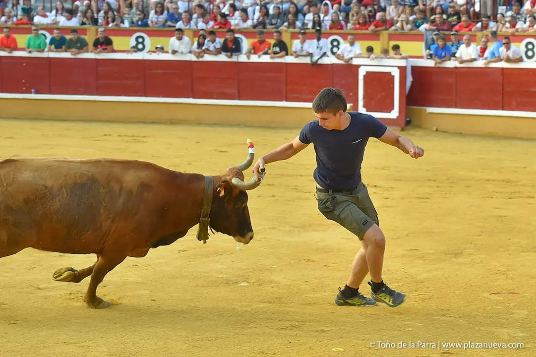 240726_FIESTAS1-(136)