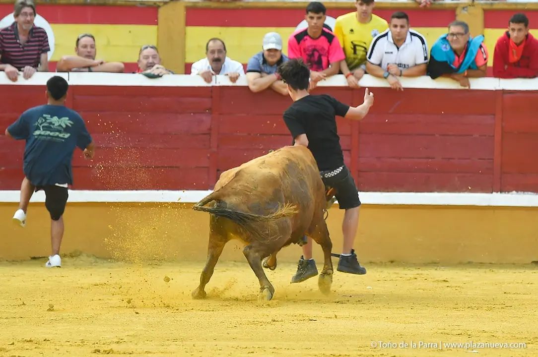 240726_FIESTAS1-(181)