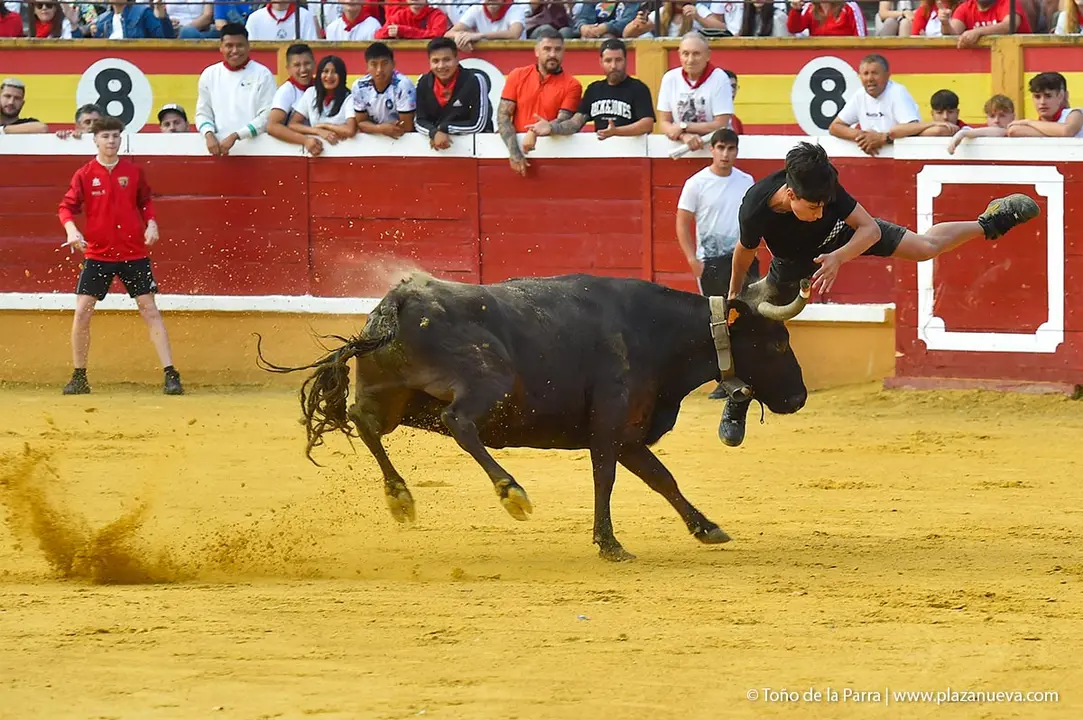 240726_FIESTAS1-(193)