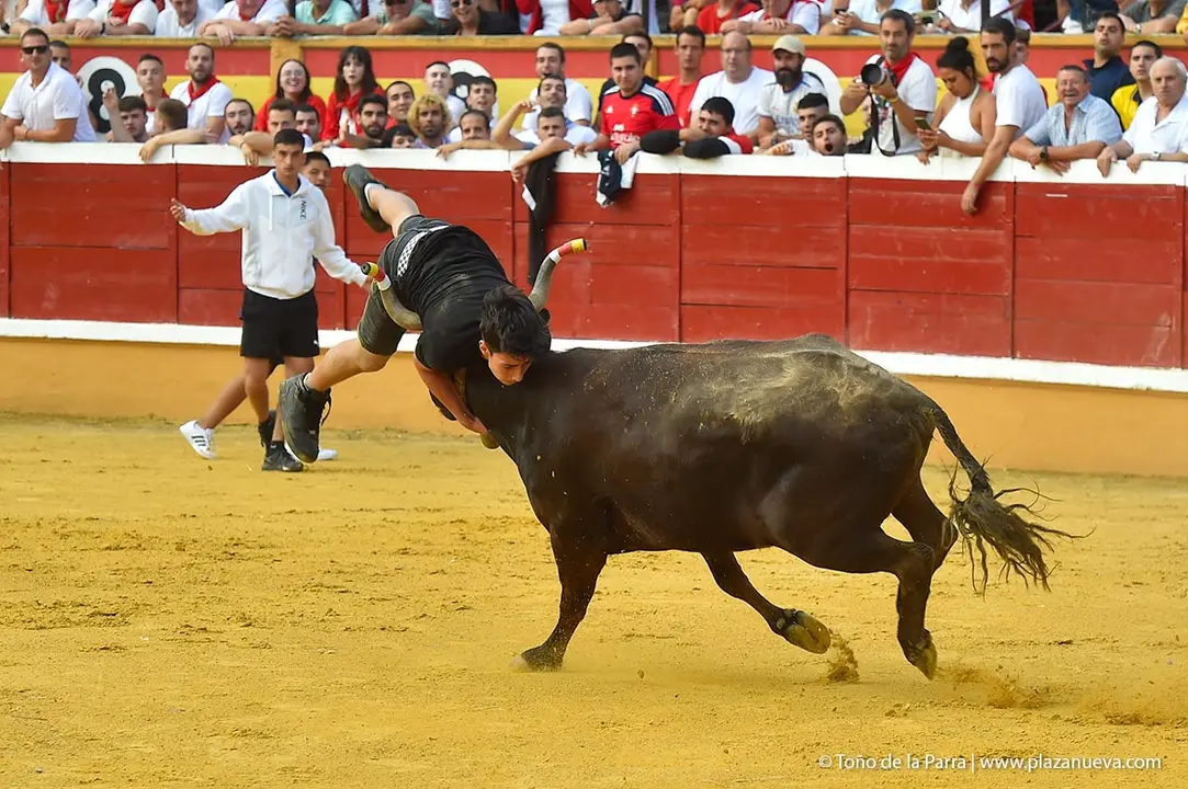 240726_FIESTAS1-(212)