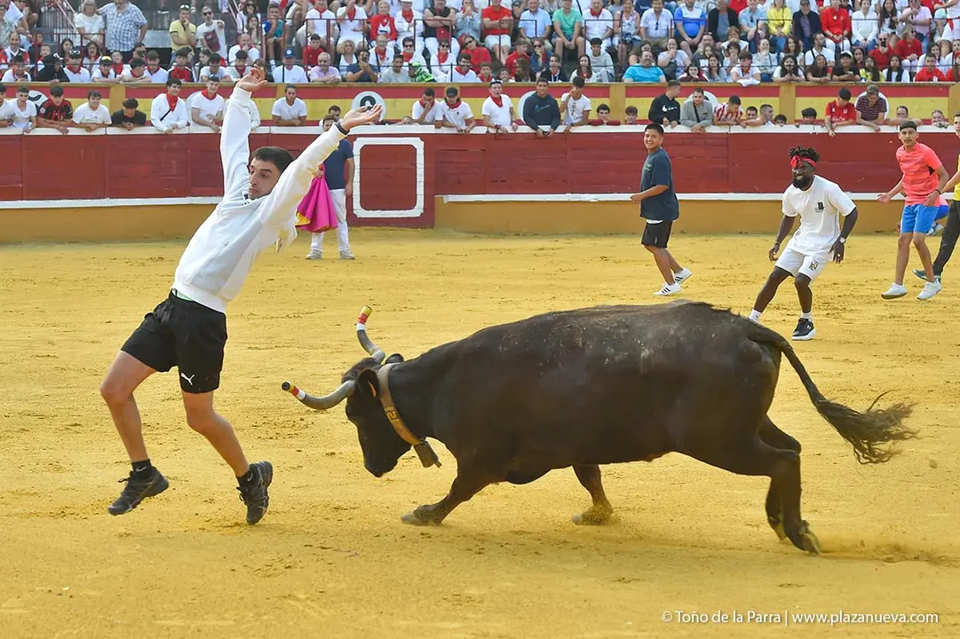 240726_FIESTAS1-(230)