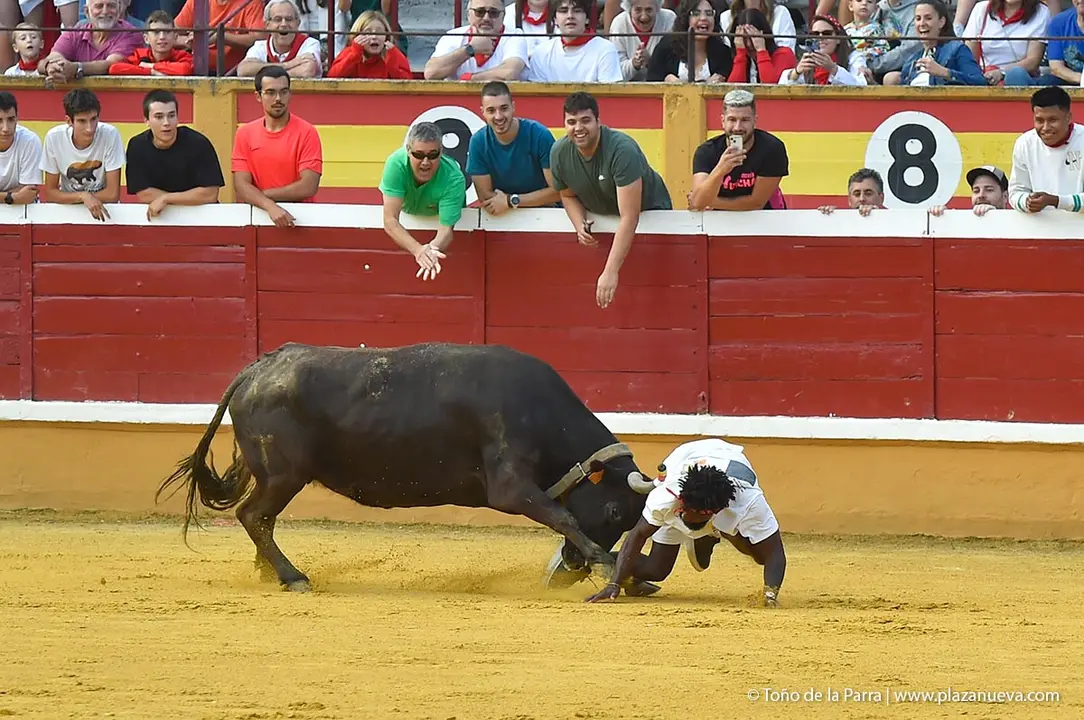 240726_FIESTAS1-(238)