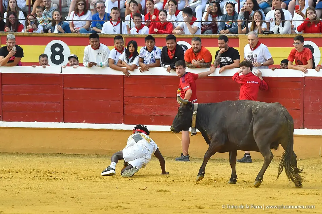240726_FIESTAS1-(246)
