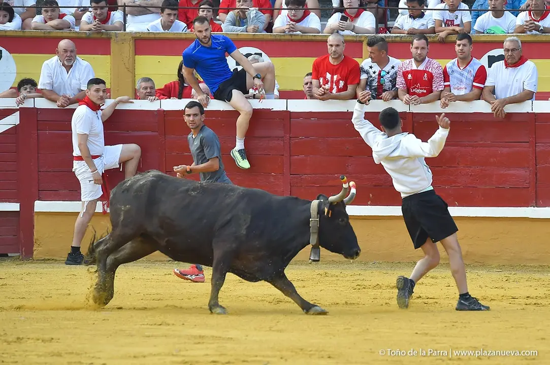 240726_FIESTAS1-(282)