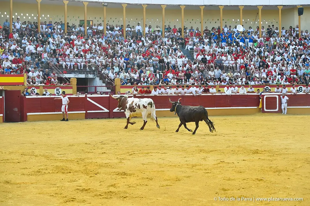 240726_FIESTAS1-(294)
