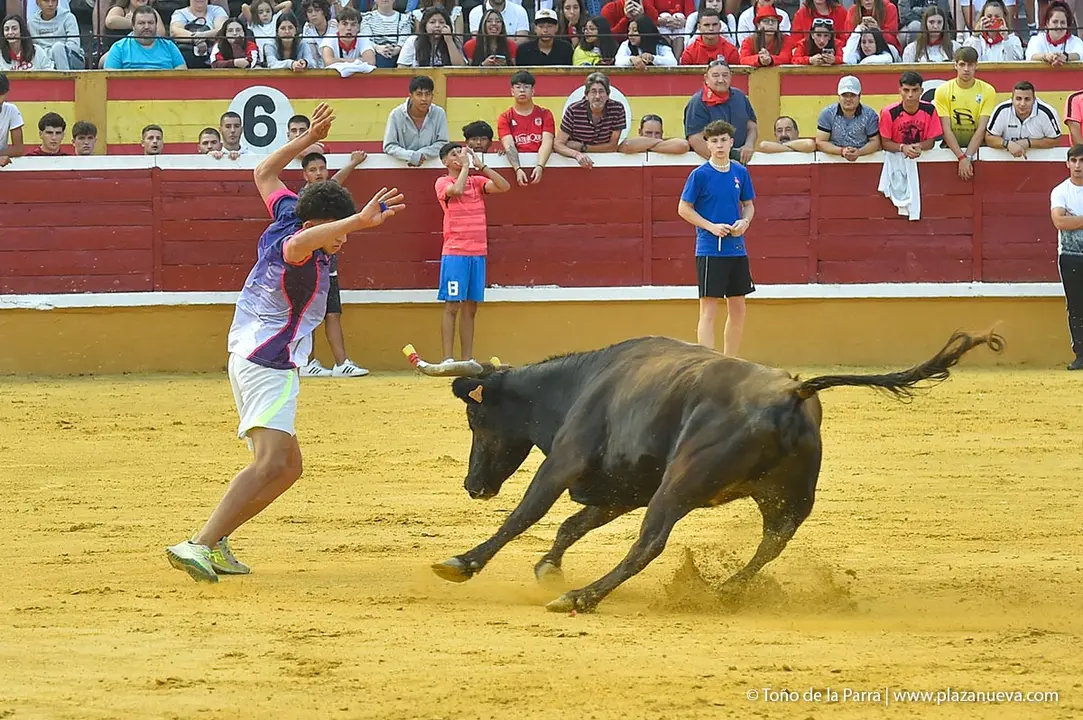 240726_FIESTAS1-(333)