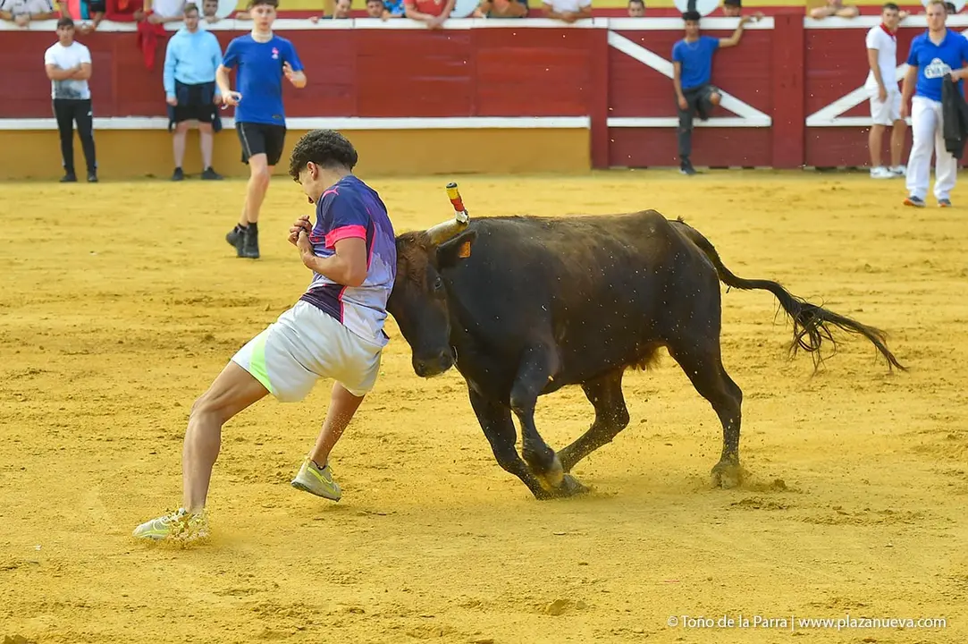 240726_FIESTAS1-(354)