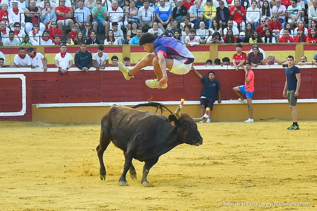 240726_FIESTAS1-(378)