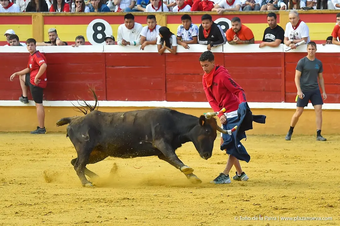 240726_FIESTAS1-(392)