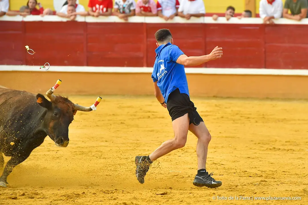 240726_FIESTAS1-(404)