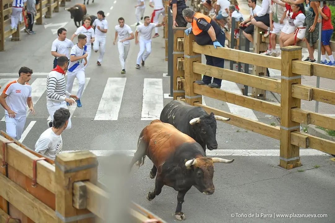 240728_ENCIERRO (14)