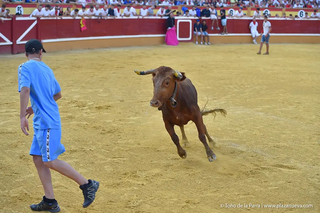 240728_ENCIERRO (23)