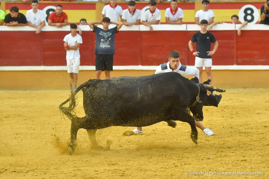 240728_ENCIERRO (31)