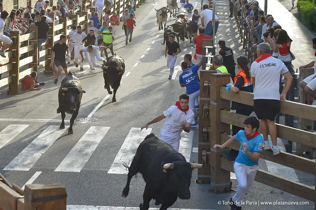 240729_ENCIERRO (10)