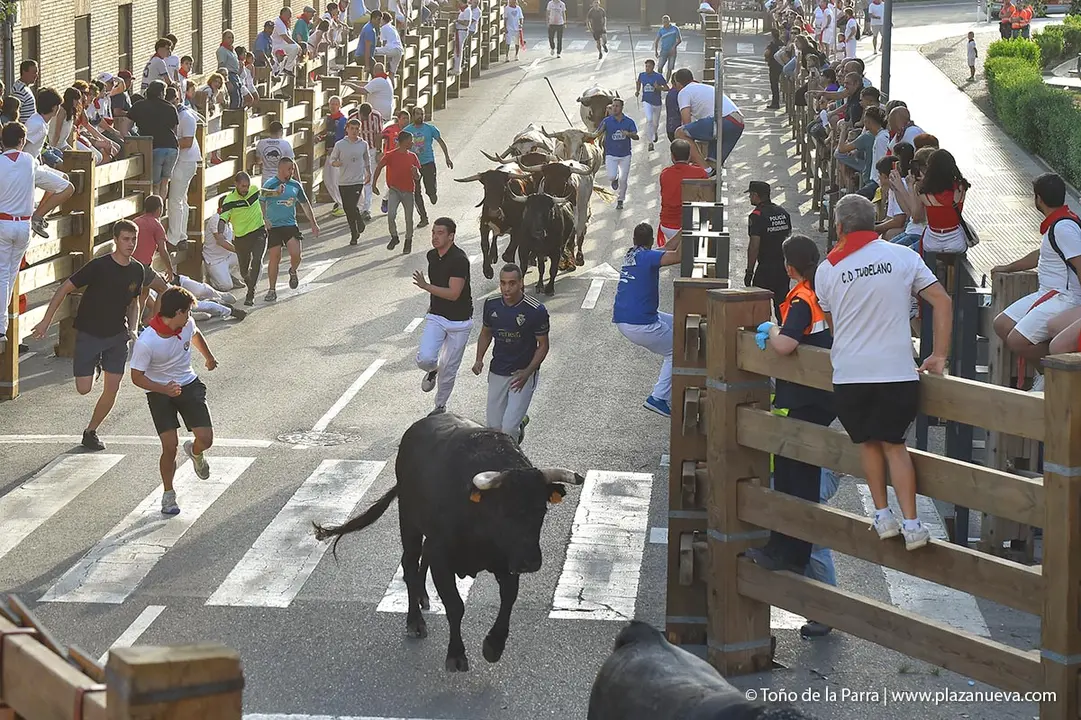 240729_ENCIERRO (12)