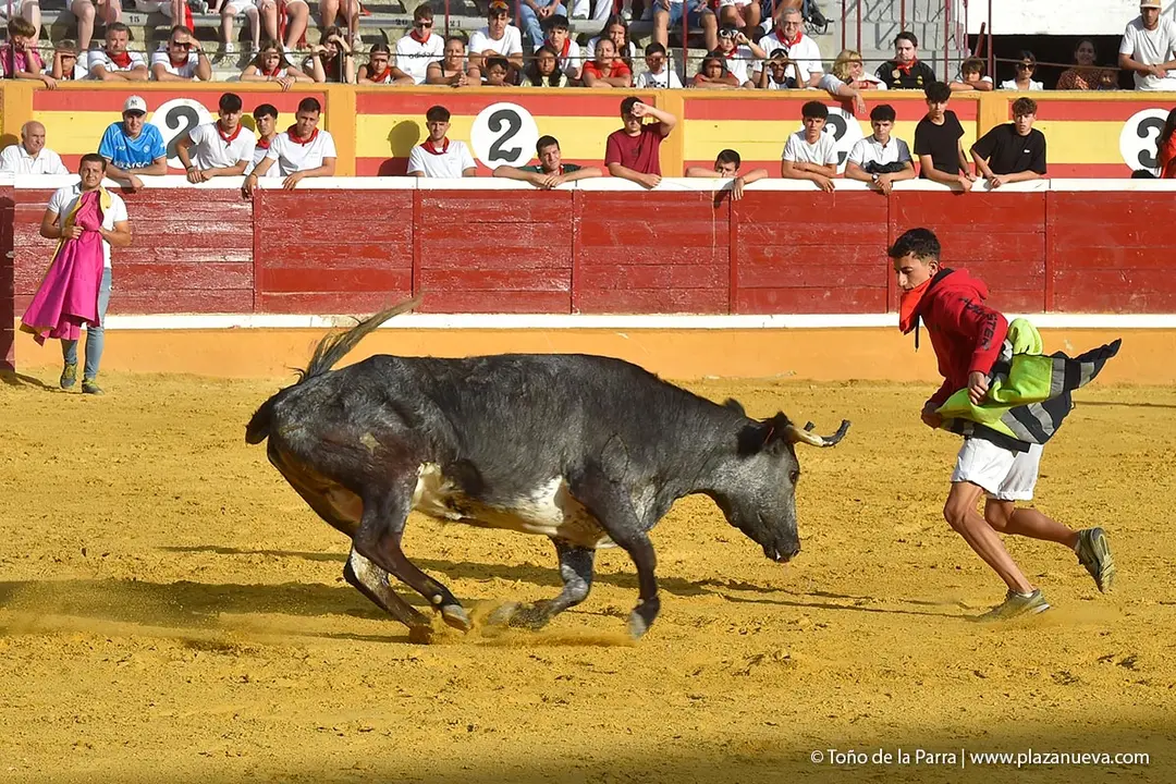 240729_ENCIERRO (34)