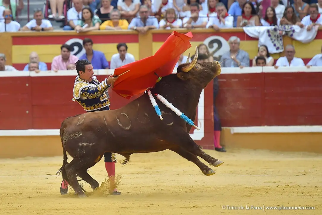 240727_CORRIDA (50)