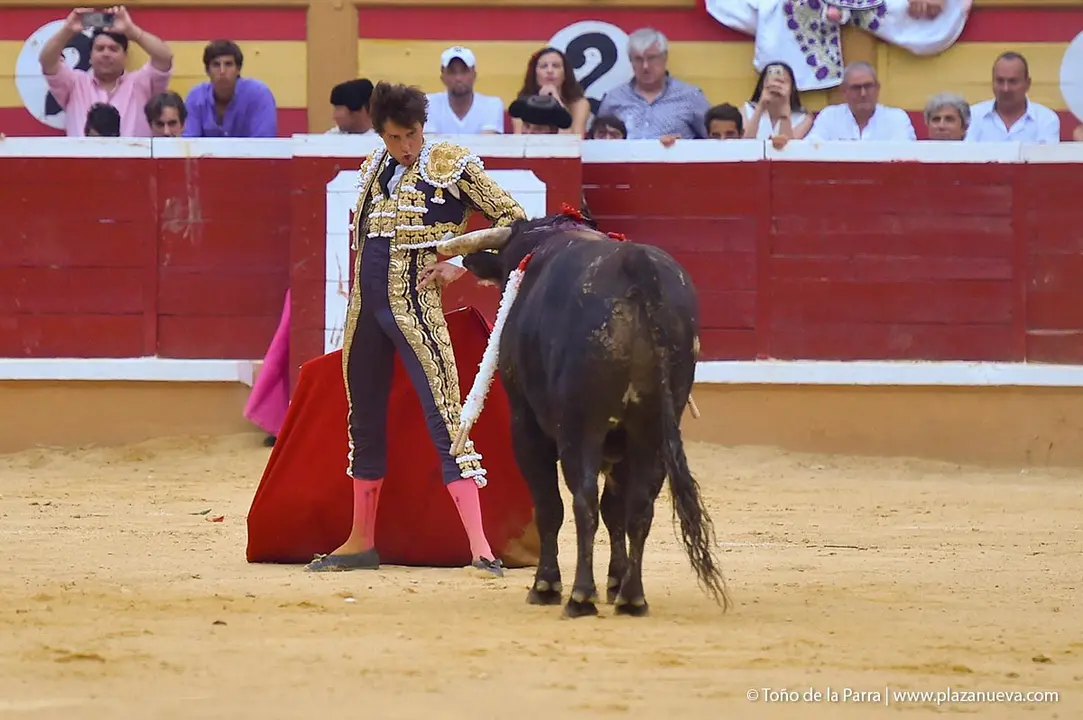 240727_CORRIDA (60)