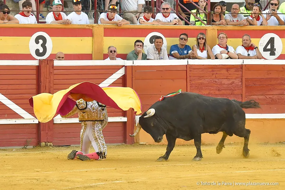 240728_CORRIDA (15)