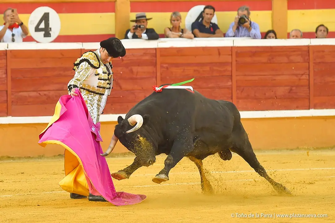 240728_CORRIDA (17)