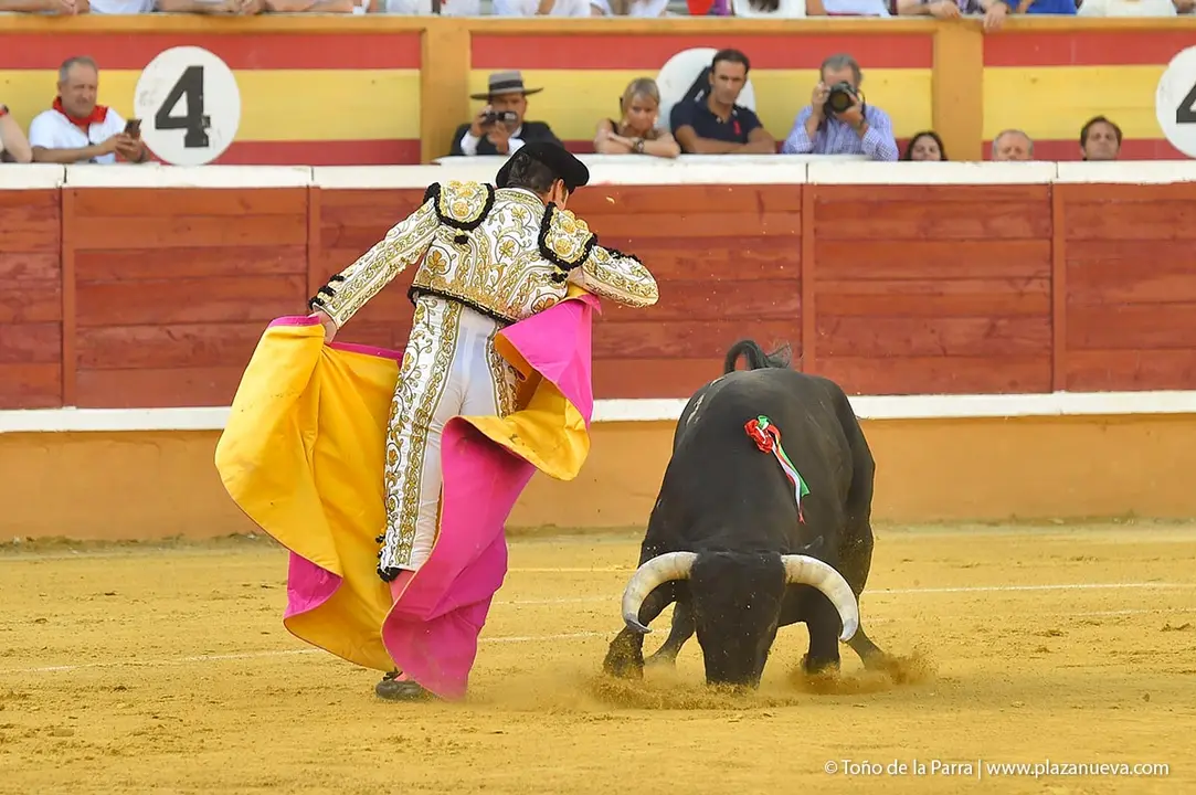 240728_CORRIDA (19)