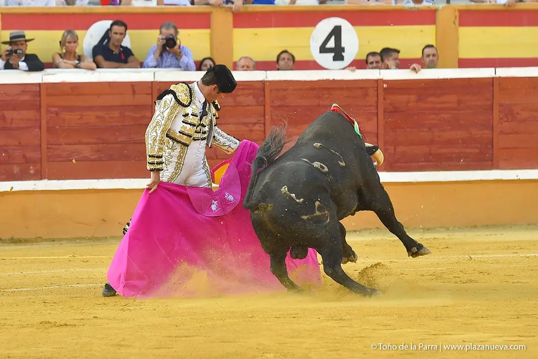 240728_CORRIDA (18)