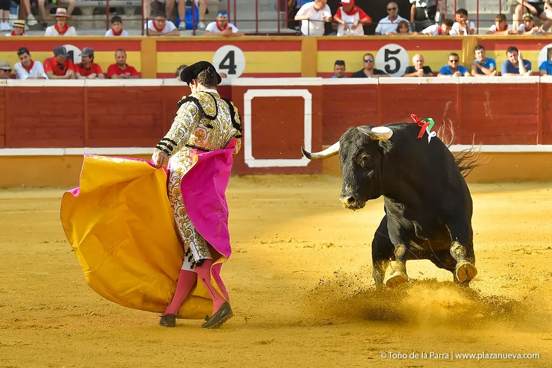240728_CORRIDA (20)