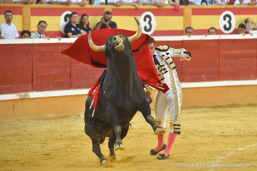 240728_CORRIDA (22)