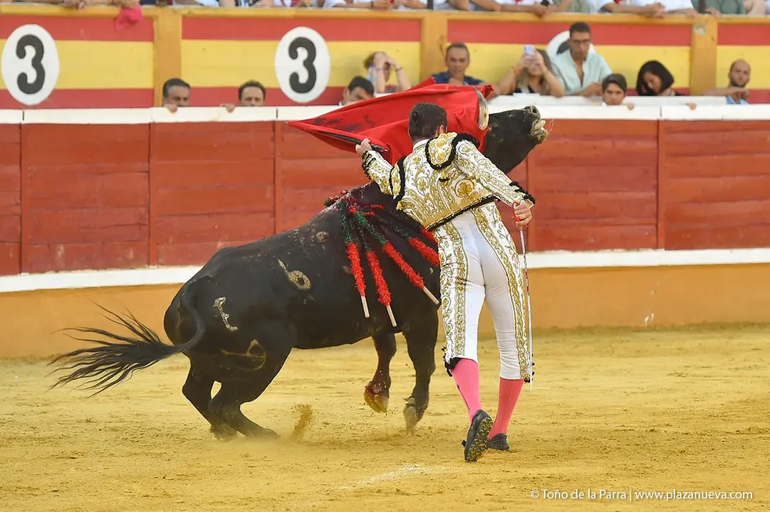 240728_CORRIDA (23)