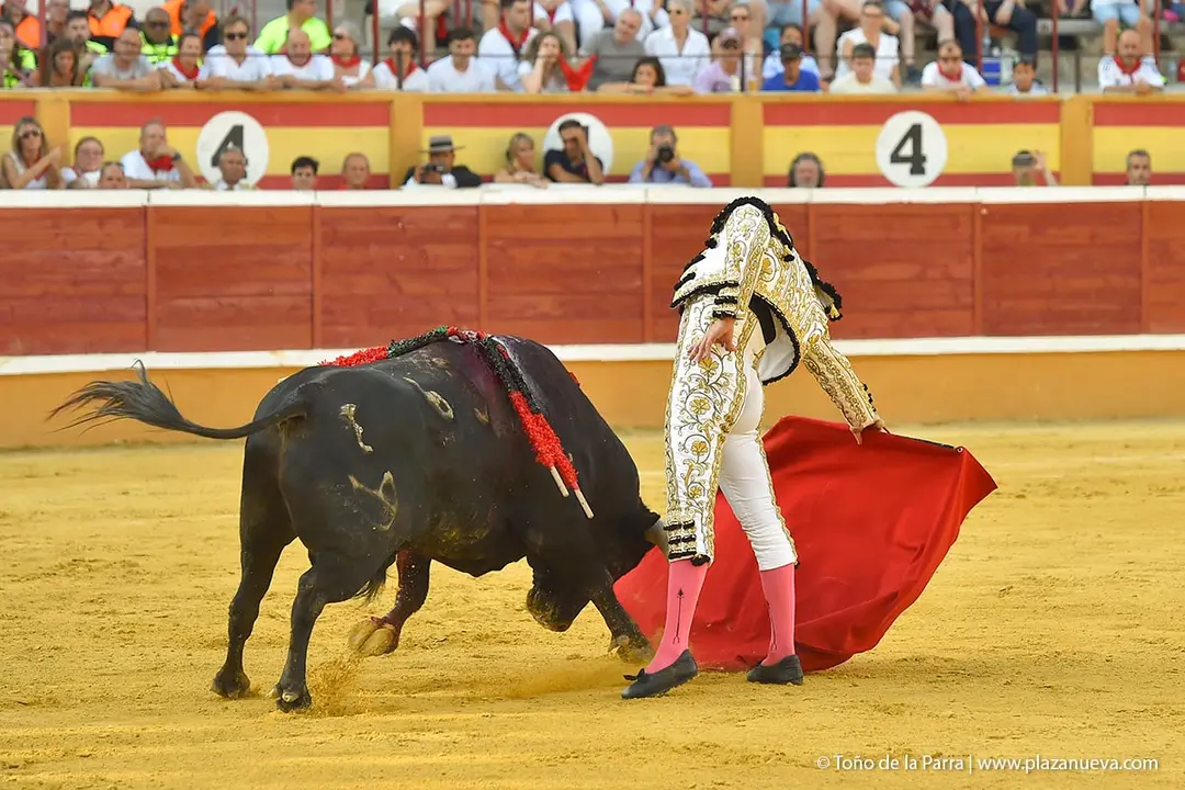 240728_CORRIDA (24)