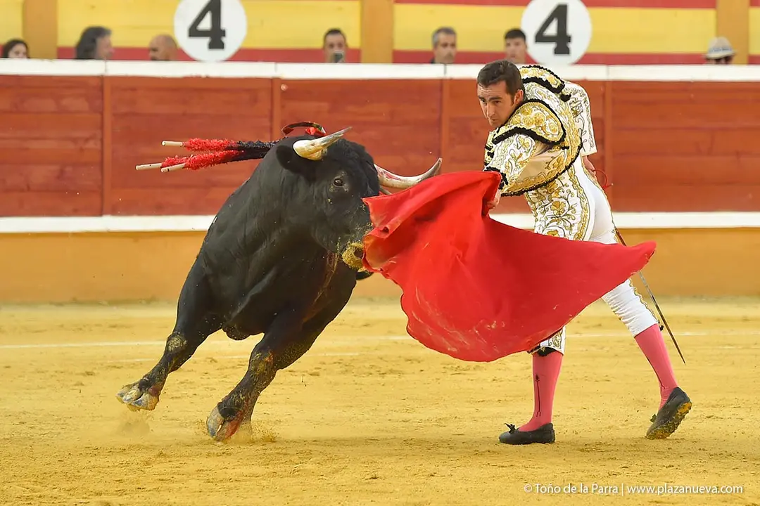 240728_CORRIDA (25)