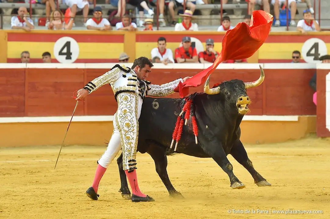 240728_CORRIDA (26)