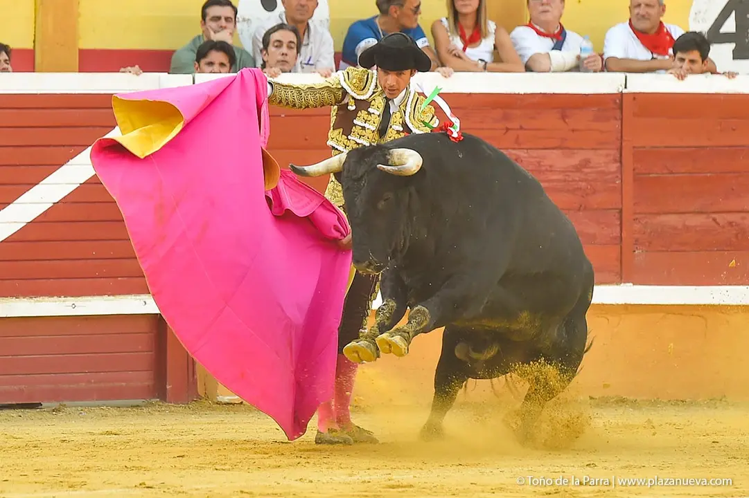 240728_CORRIDA (29)