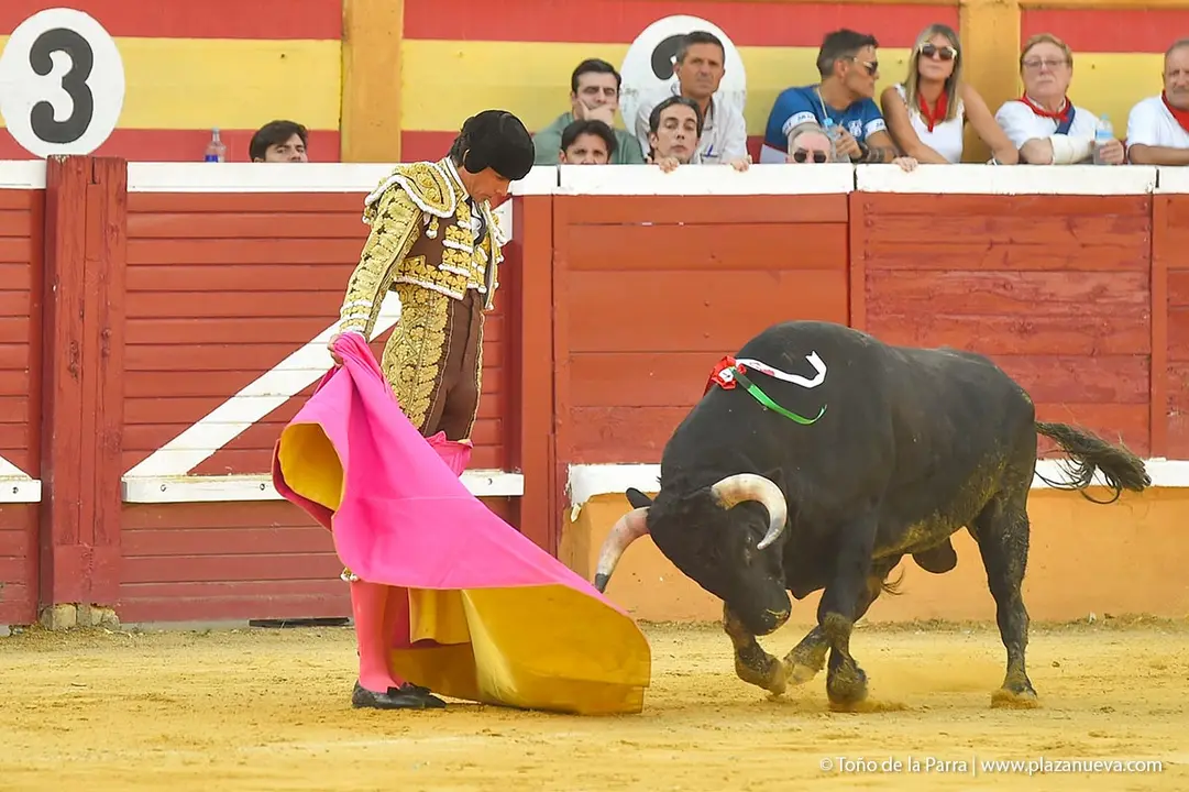 240728_CORRIDA (30)