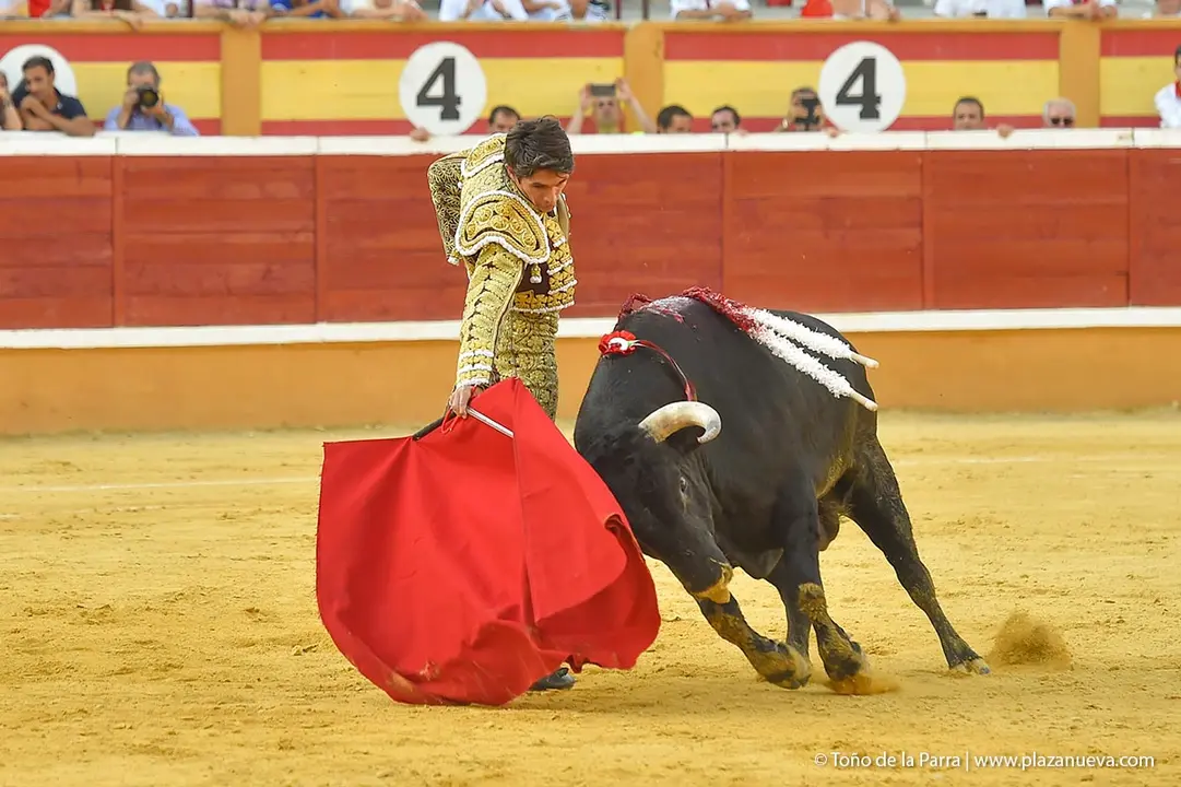 240728_CORRIDA (32)