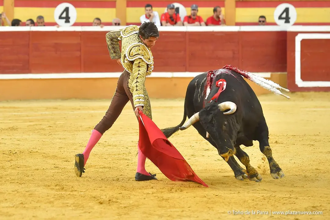 240728_CORRIDA (33)