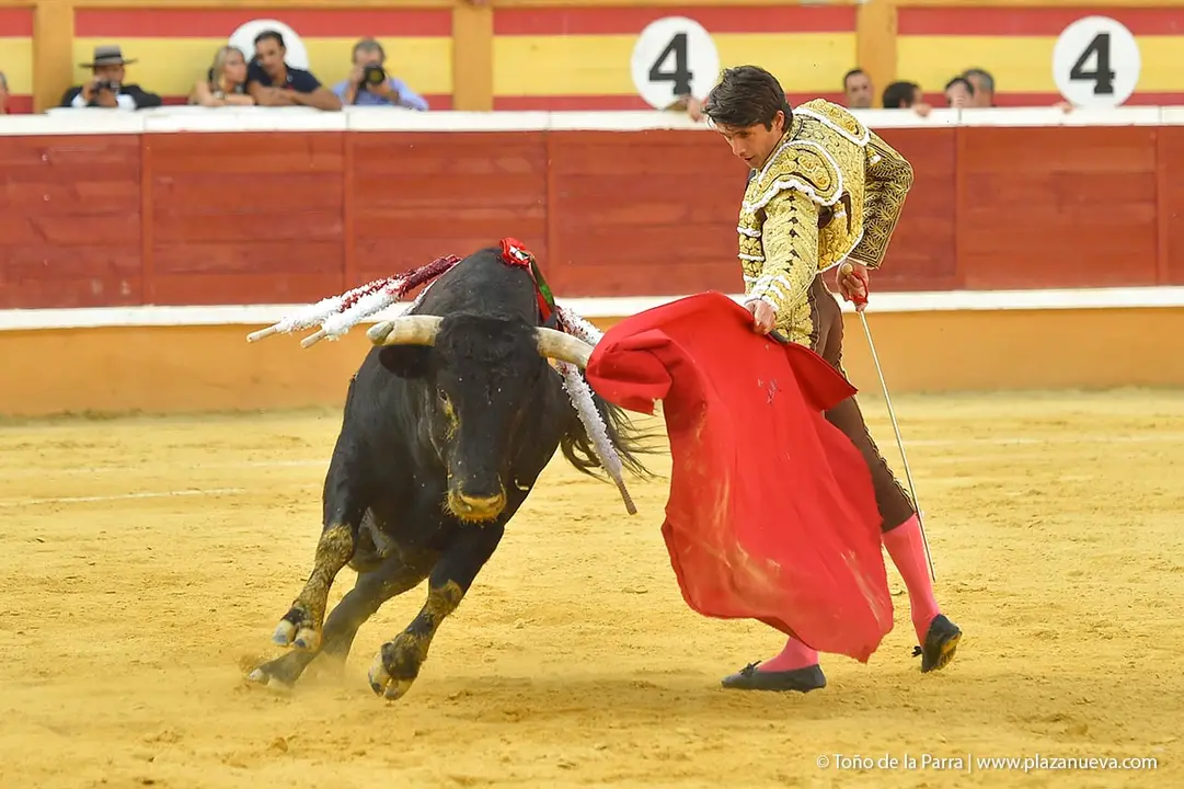 240728_CORRIDA (35)