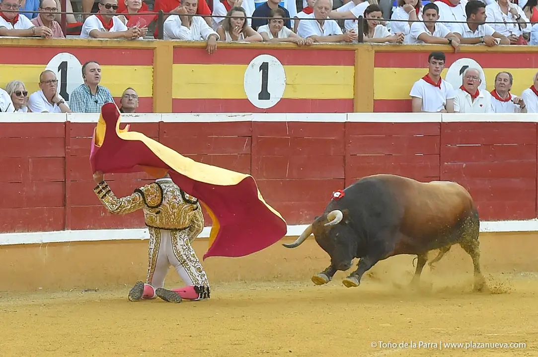 240728_CORRIDA (51)