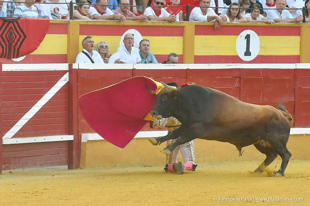 240728_CORRIDA (52)