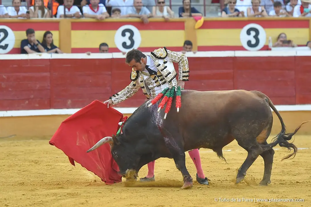 240728_CORRIDA (59)