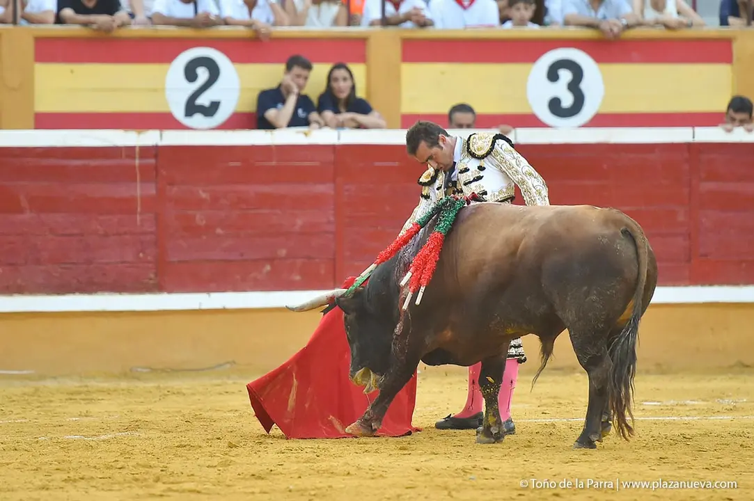 240728_CORRIDA (65)