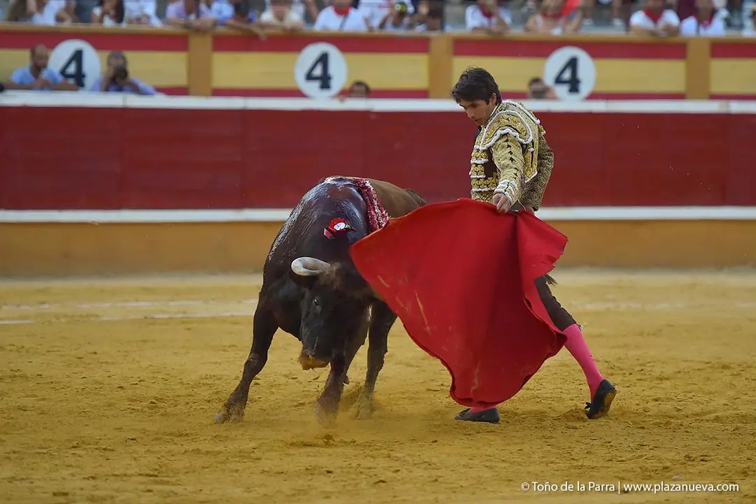 240728_CORRIDA (73)